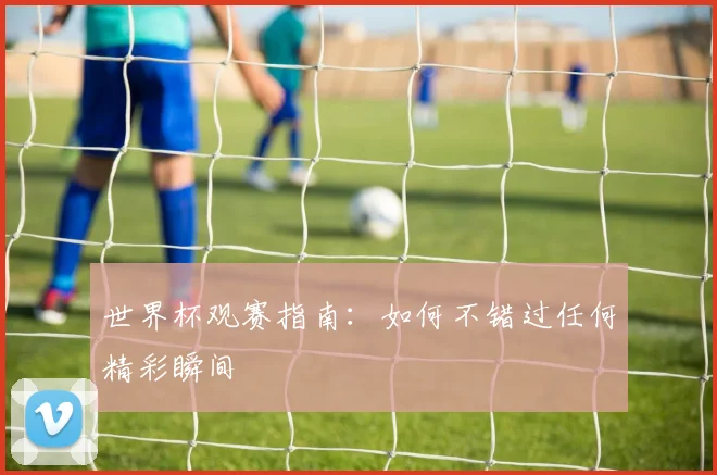 世界杯观赛指南：如何不错过任何精彩瞬间