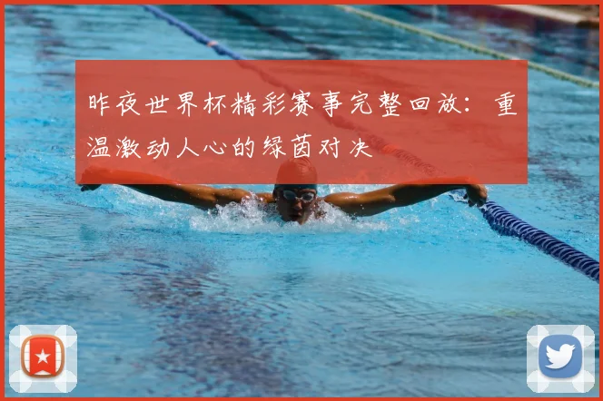 昨夜世界杯精彩赛事完整回放：重温激动人心的绿茵对决