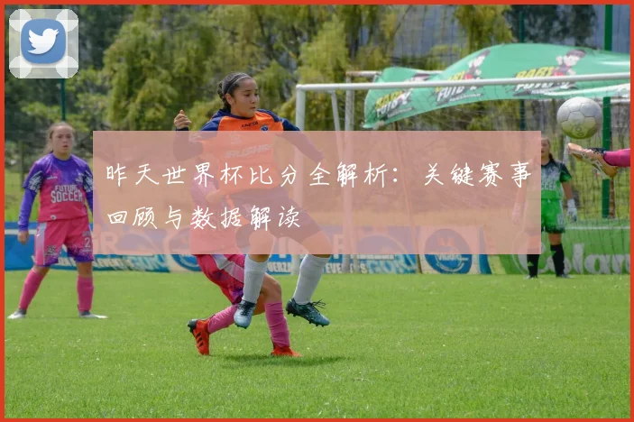 昨天世界杯比分全解析:关键赛事回顾与数据解读