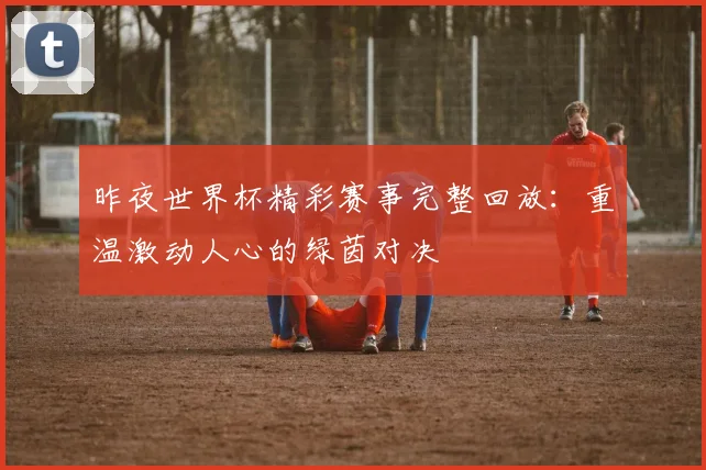 昨夜世界杯精彩赛事完整回放：重温激动人心的绿茵对决