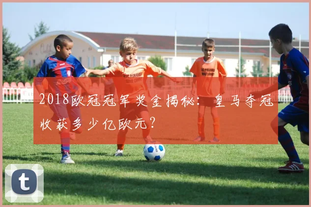 2018欧冠冠军奖金揭秘：皇马夺冠收获多少亿欧元？